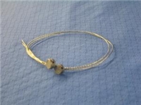 Lead Seals (Qty 100)